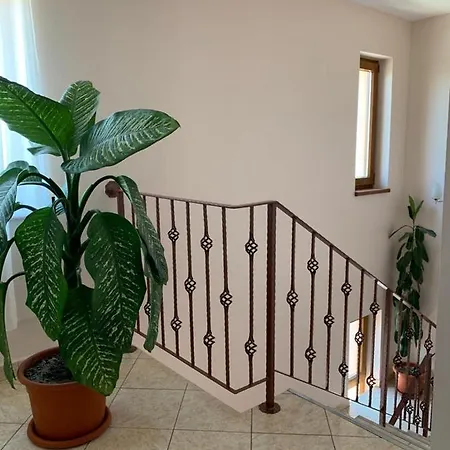 Corina Гостевой дом